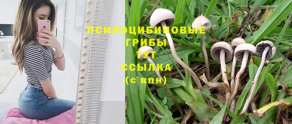 мескалин Горно-Алтайск