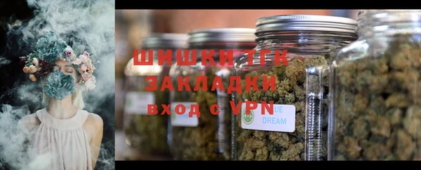 молекула духа Гусев