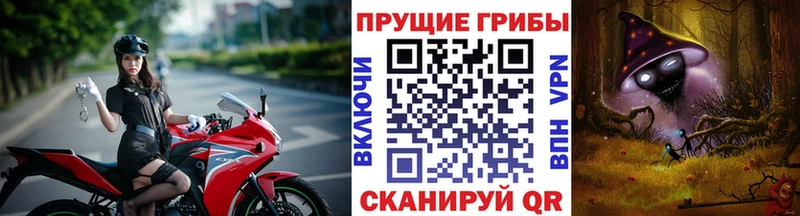 где можно купить наркотик Изобильный Псилоцибиновые грибы Psilocybine cubensis